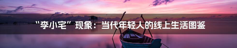 “李小宅”现象:当代年轻人的线上生活图鉴