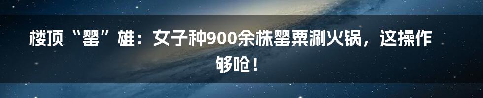 楼顶“罂”雄:女子种900余株罂粟涮火锅,这操作够呛!