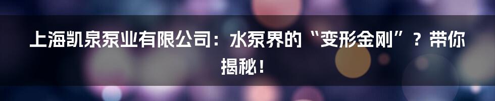 上海凯泉泵业有限公司:水泵界的“变形金刚”?带你揭秘!