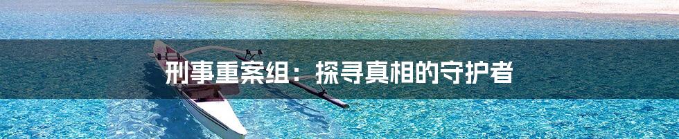 刑事重案组:探寻真相的守护者