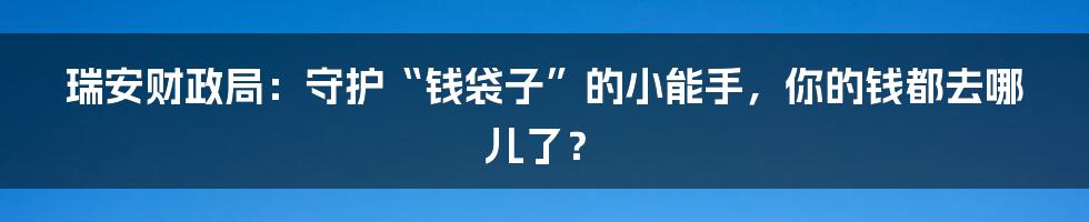 瑞安财政局:守护“钱袋子”的小能手,你的钱都去哪儿了?