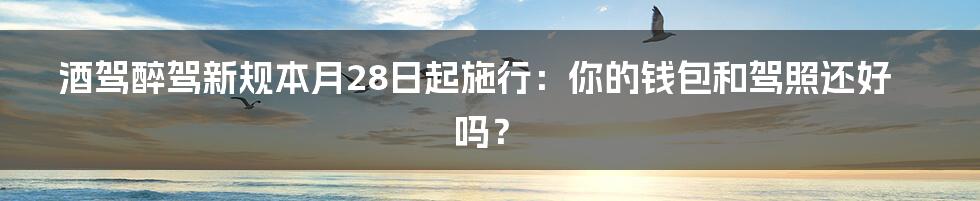 酒驾醉驾新规本月28日起施行:你的钱包和驾照还好吗?