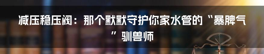 减压稳压阀:那个默默守护你家水管的“暴脾气”驯兽师