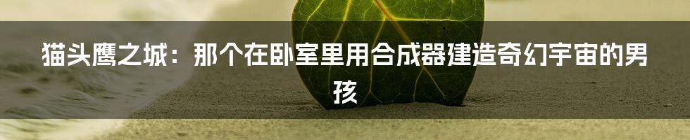 猫头鹰之城：那个在卧室里用合成器建造奇幻宇宙的男孩