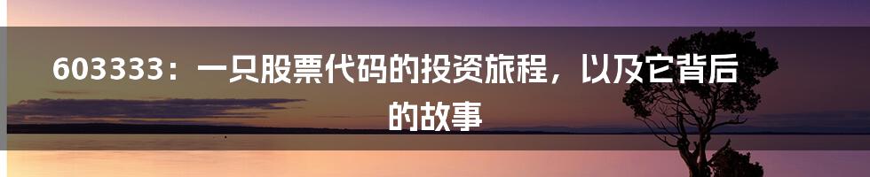 603333:一只股票代码的投资旅程,以及它背后的故事