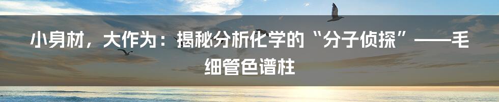 小身材，大作为：揭秘分析化学的“分子侦探”——毛细管色谱柱
