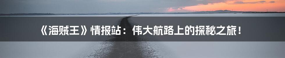 《海贼王》情报站:伟大航路上的探秘之旅!