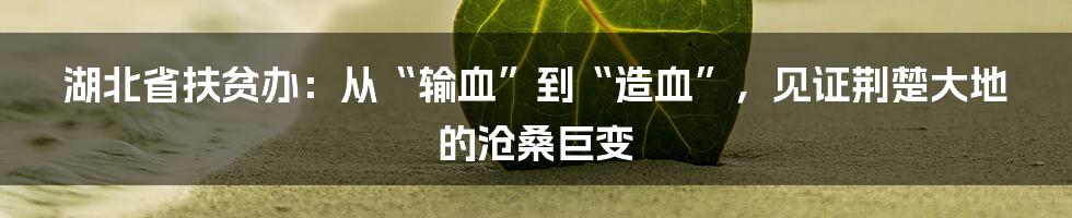 湖北省扶贫办:从“输血”到“造血”,见证荆楚大地的沧桑巨变
