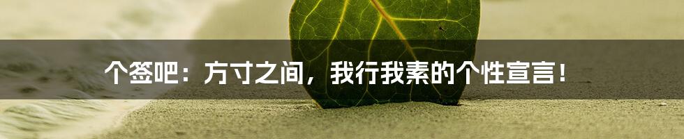 个签吧:方寸之间,我行我素的个性宣言!