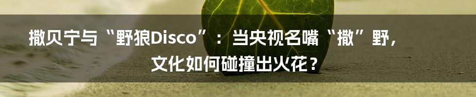 撒贝宁与“野狼Disco”:当央视名嘴“撒”野,文化如何碰撞出火花?