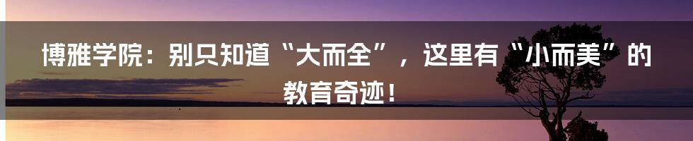 博雅学院：别只知道“大而全”，这里有“小而美”的教育奇迹！