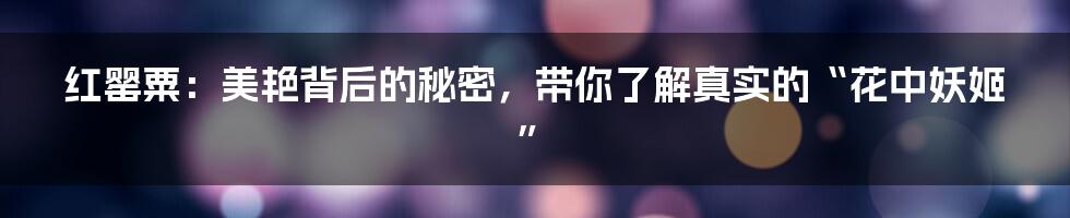 红罂粟：美艳背后的秘密，带你了解真实的“花中妖姬”