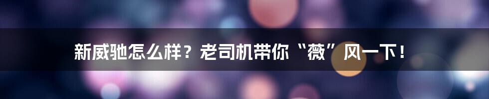 新威驰怎么样?老司机带你“薇”风一下!