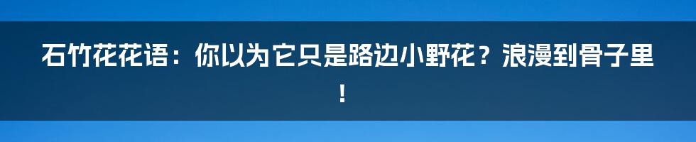 石竹花花语:你以为它只是路边小野花?浪漫到骨子里!
