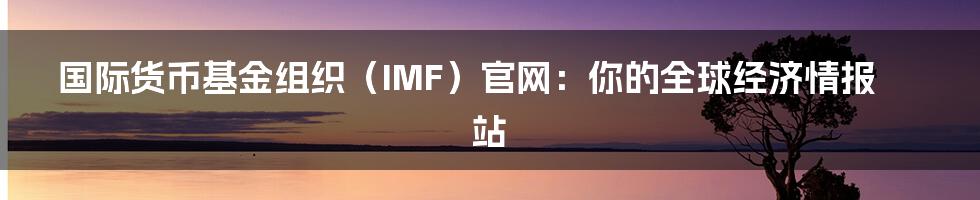 国际货币基金组织(IMF)官网:你的全球经济情报站