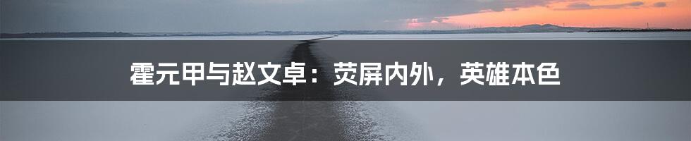 霍元甲与赵文卓:荧屏内外,英雄本色
