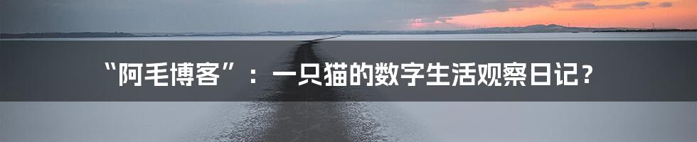 “阿毛博客”:一只猫的数字生活观察日记?