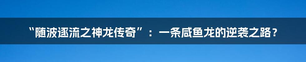 “随波逐流之神龙传奇”:一条咸鱼龙的逆袭之路?