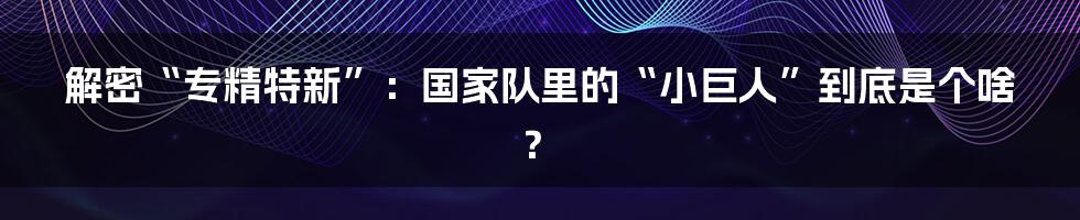 解密“专精特新”:国家队里的“小巨人”到底是个啥?