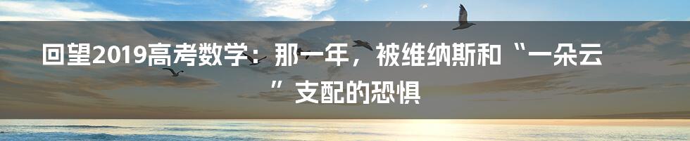 回望2019高考数学:那一年,被维纳斯和“一朵云”支配的恐惧