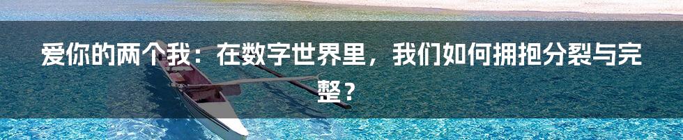 爱你的两个我:在数字世界里,我们如何拥抱分裂与完整?