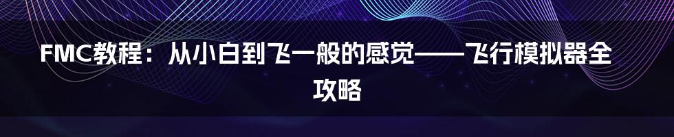 FMC教程：从小白到飞一般的感觉——飞行模拟器全攻略
