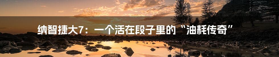 纳智捷大7:一个活在段子里的“油耗传奇”