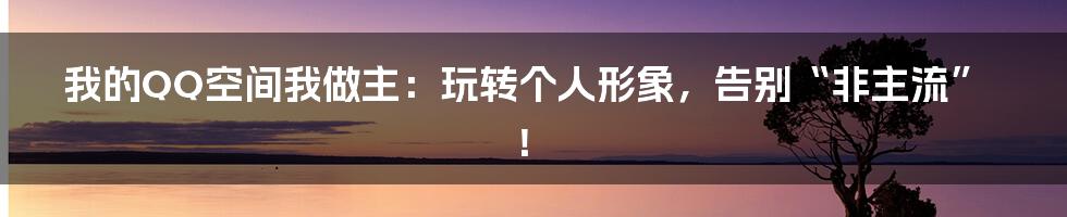 我的QQ空间我做主:玩转个人形象,告别“非主流”!