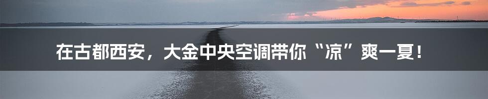 在古都西安,大金中央空调带你“凉”爽一夏!