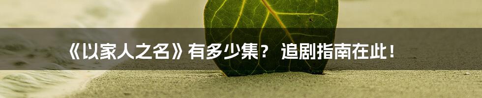 《以家人之名》有多少集? 追剧指南在此!