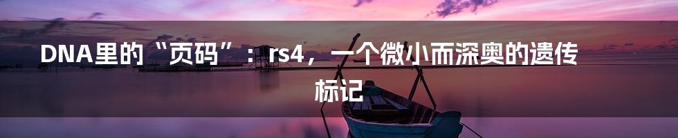 DNA里的“页码”:rs4,一个微小而深奥的遗传标记