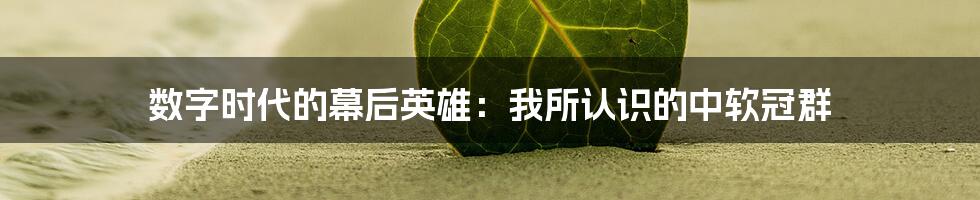 数字时代的幕后英雄:我所认识的中软冠群