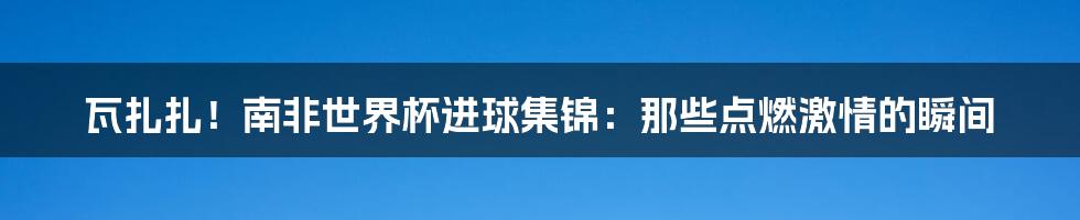 瓦扎扎!南非世界杯进球集锦:那些点燃激情的瞬间