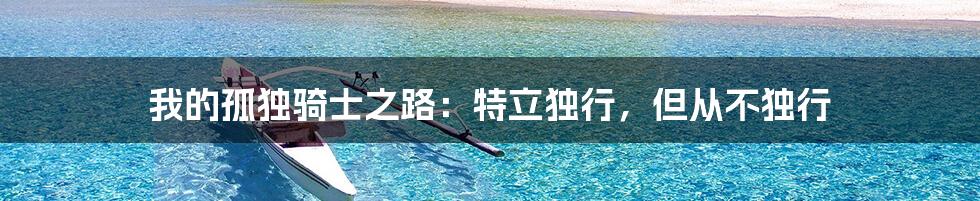 我的孤独骑士之路:特立独行,但从不独行