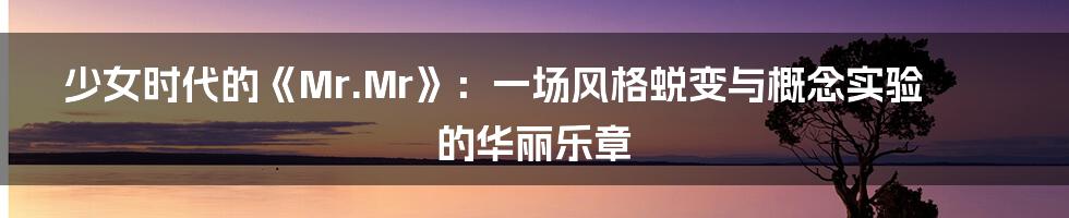 少女时代的《Mr.Mr》：一场风格蜕变与概念实验的华丽乐章