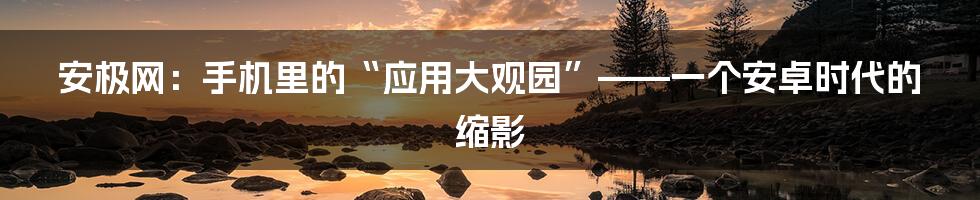 安极网:手机里的“应用大观园”——一个安卓时代的缩影
