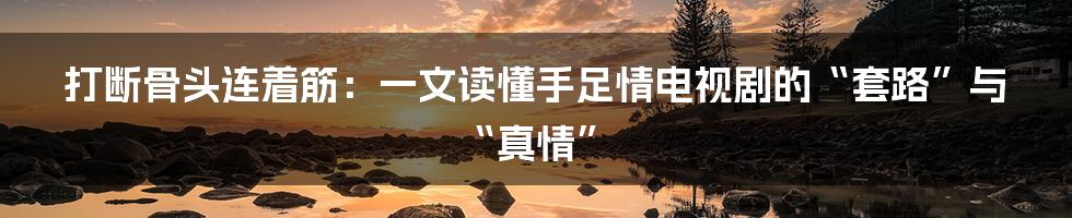 打断骨头连着筋:一文读懂手足情电视剧的“套路”与“真情”