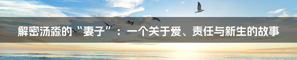 解密汤淼的“妻子”:一个关于爱、责任与新生的故事
