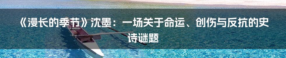 《漫长的季节》沈墨:一场关于命运、创伤与反抗的史诗谜题