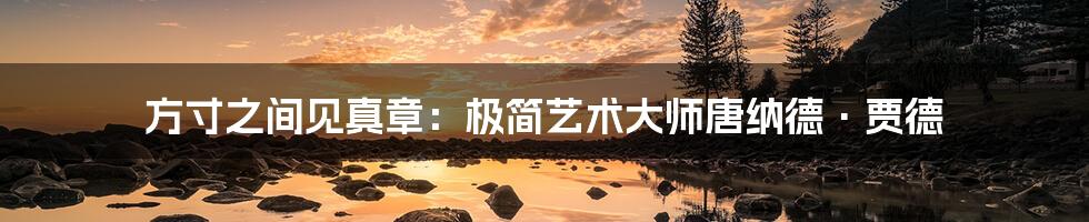 方寸之间见真章:极简艺术大师唐纳德·贾德