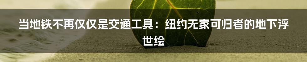 当地铁不再仅仅是交通工具:纽约无家可归者的地下浮世绘