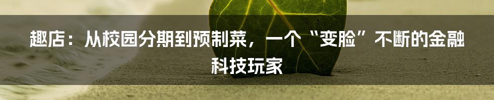 趣店:从校园分期到预制菜,一个“变脸”不断的金融科技玩家