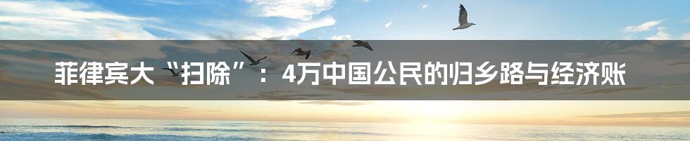 菲律宾大“扫除”:4万中国公民的归乡路与经济账