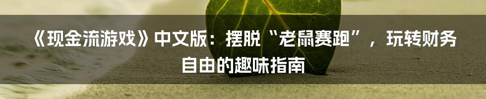 《现金流游戏》中文版：摆脱“老鼠赛跑”，玩转财务自由的趣味指南
