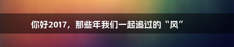 你好2017,那些年我们一起追过的“风”
