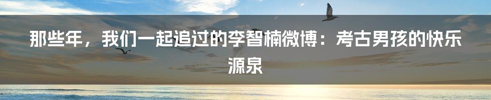 那些年，我们一起追过的李智楠微博：考古男孩的快乐源泉