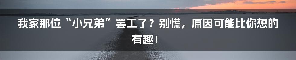 我家那位“小兄弟”罢工了？别慌，原因可能比你想的有趣！