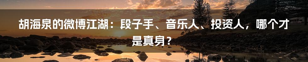 胡海泉的微博江湖:段子手、音乐人、投资人,哪个才是真身?