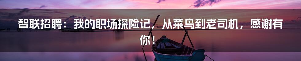 智联招聘:我的职场探险记,从菜鸟到老司机,感谢有你!