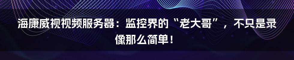 海康威视视频服务器:监控界的“老大哥”,不只是录像那么简单!